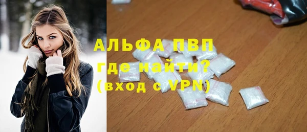 гашик Алексин