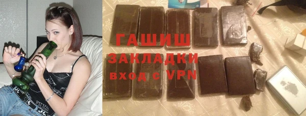 гашик Алексин