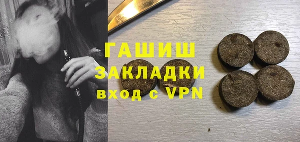 гашик Алексин
