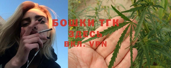 гашик Алексин